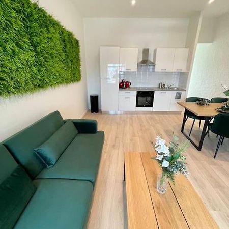 Schitterend Sint - Jacobs Loft In Antwerpen公寓 外观 照片